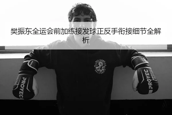 樊振东全运会前加练接发球正反手衔接细节全解析